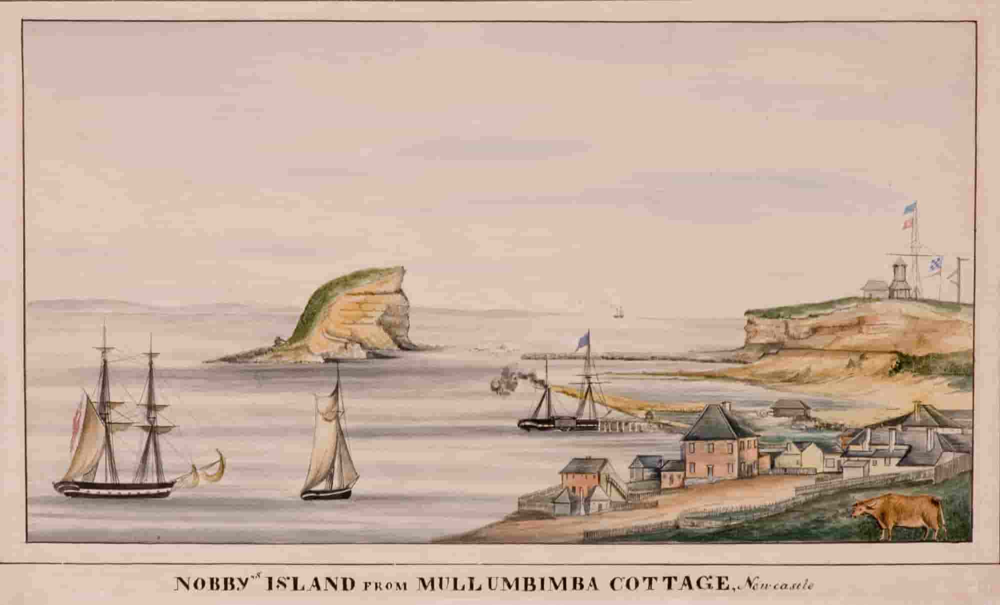 Nobbys from Mullumbimba