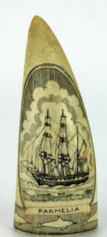 Parmelia Convict Ship - whale tooth decoration